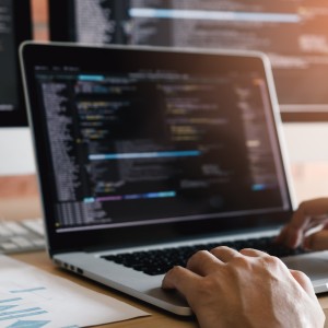 IT konsulent/tekniker